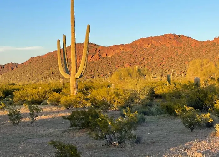 Holiday home Mid-century 4br Ranch With Private Pool, 1m To Pickleball