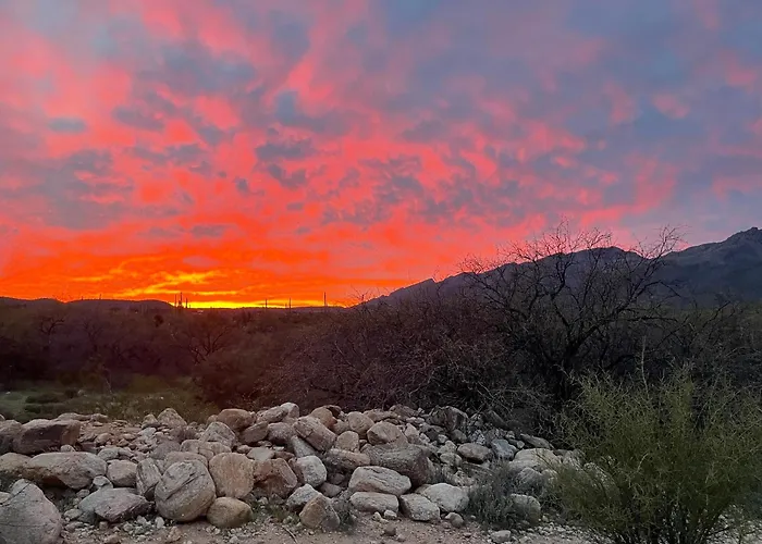 Mid-century 4br Ranch With Private Pool, 1m To Pickleball *